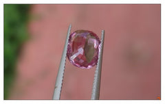 Natural Pink Oval Sapphire 3.01ct (Unheated)